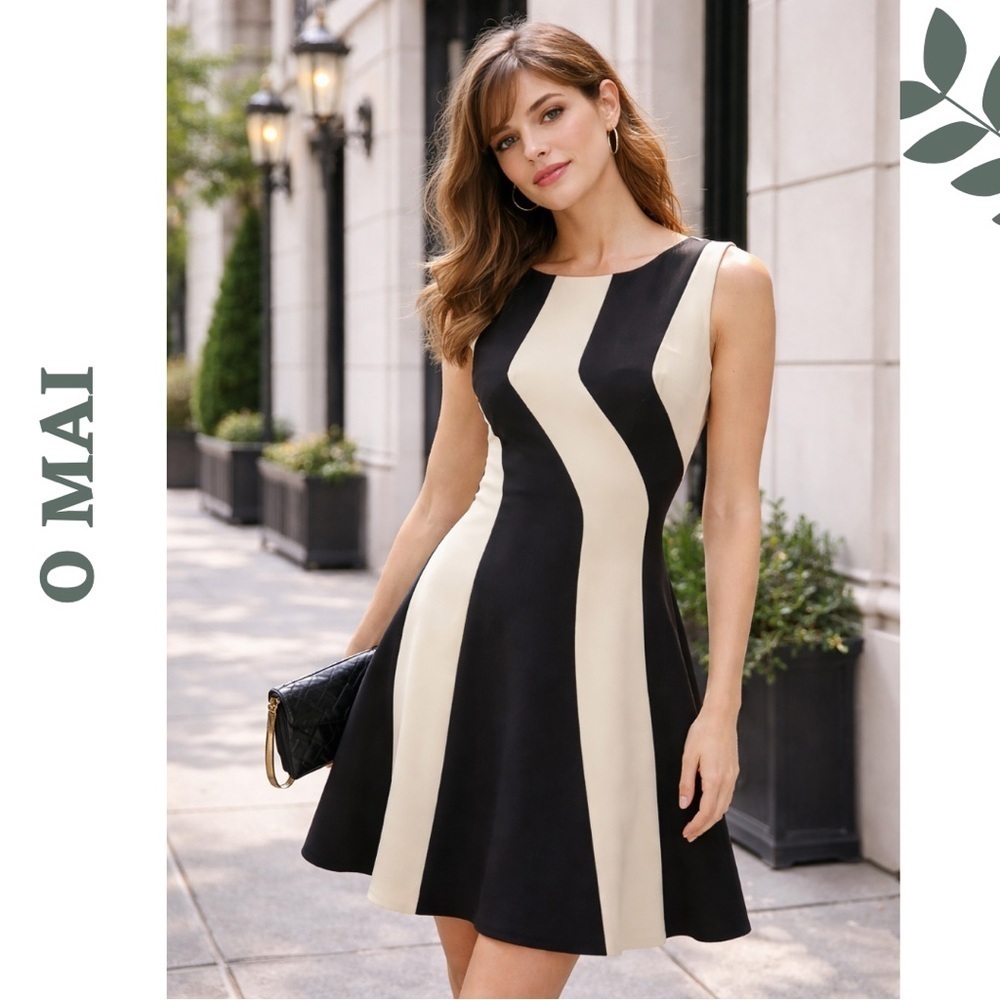 Omai Black & Cream Colorblock Fit & Flare Dress Medium